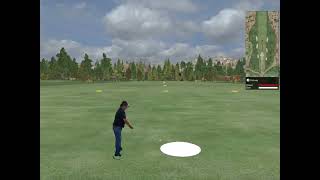 Tweaking Ball Flight Direction SLX Swinglogic in E6