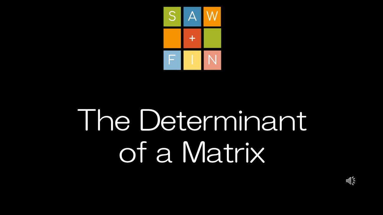 Linear Algebra 3.1 The Determinant of a Matrix