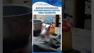 Terungkap Alasan Bapak Kos Semarang Konsumi 10 Kucing: Buat Obat Diabetes, Daripada Saya Mati