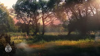 Cover art for Start It Over