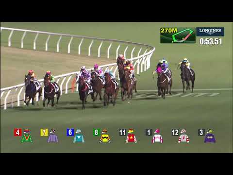 20/10/2021 (107) Romantic Warrior- J Moreira