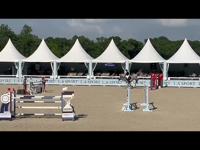 Hongre de 10 ans 140/145