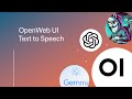 Text To Speech On Open WebUI From Basic TTS To Realistic Voices With ElevenLabs API