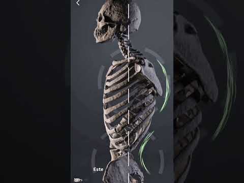 video LzmChnx9d-I
