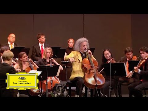 Mischa Maisky - Tchaikovsky: Andante Cantabile for Cello Solo and String Orchestra (Excerpt)