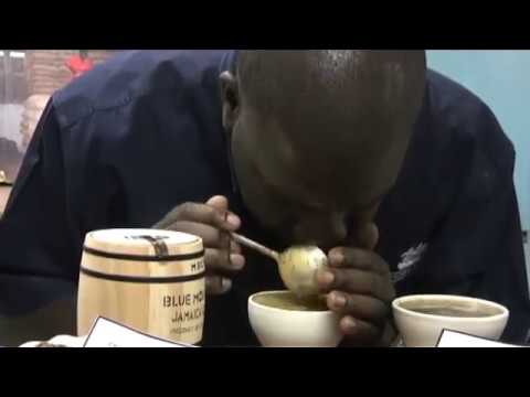 Jamaica Blue Mountain Coffee  - An Insightful Documentary