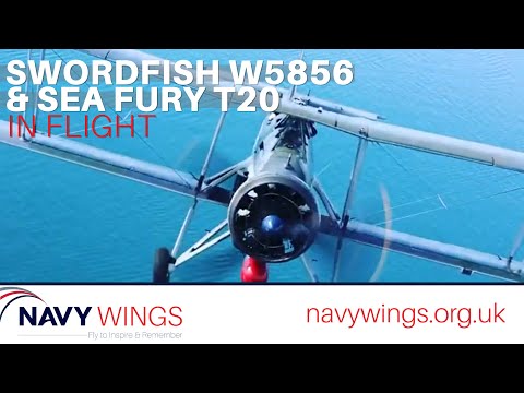 Swordfish W5856 and Sea Fury T20 in flight