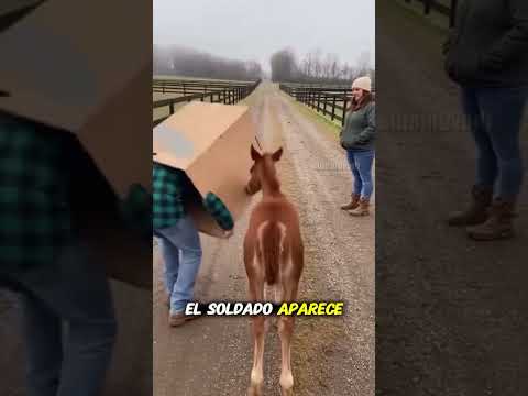 Nadie esperaba esa reacción