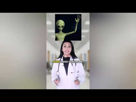 Quezada's with Luis Lopez on Oct. 10-11, 2025