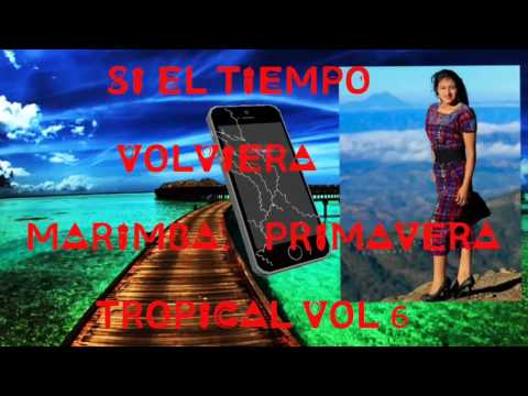 SI EL TIEMPO VOLVIERA MARIMBA PRIMAVERA TROPICAL VOL 6