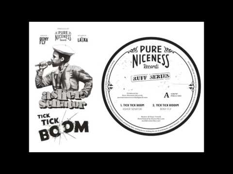 Asher Senator meets Bony Fly - Tick Tick Boom - Pure Niceness Records (Ruff Series) 12"