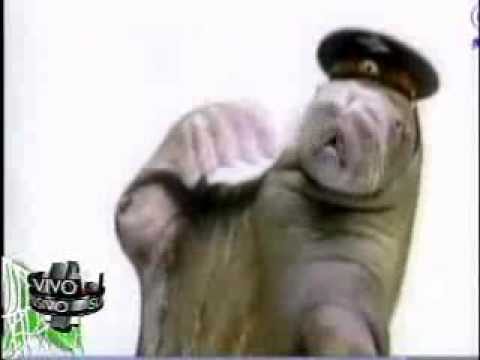 SuperXclusivo - Relajo Sr. Morsa 10/30/09