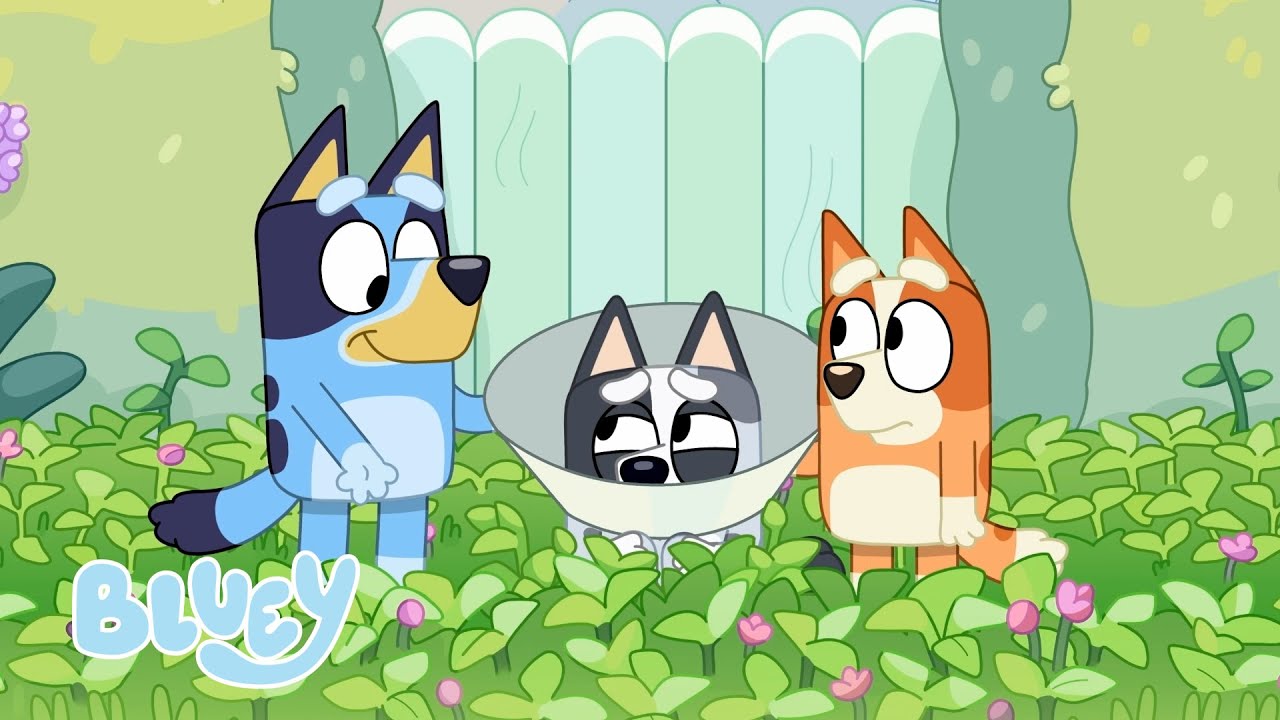 Udklædningsleg med Bingo og Bluey 👞💙🧡 | Bluey På Dansk
