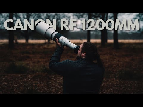 Video thumbnail for Video Review 1