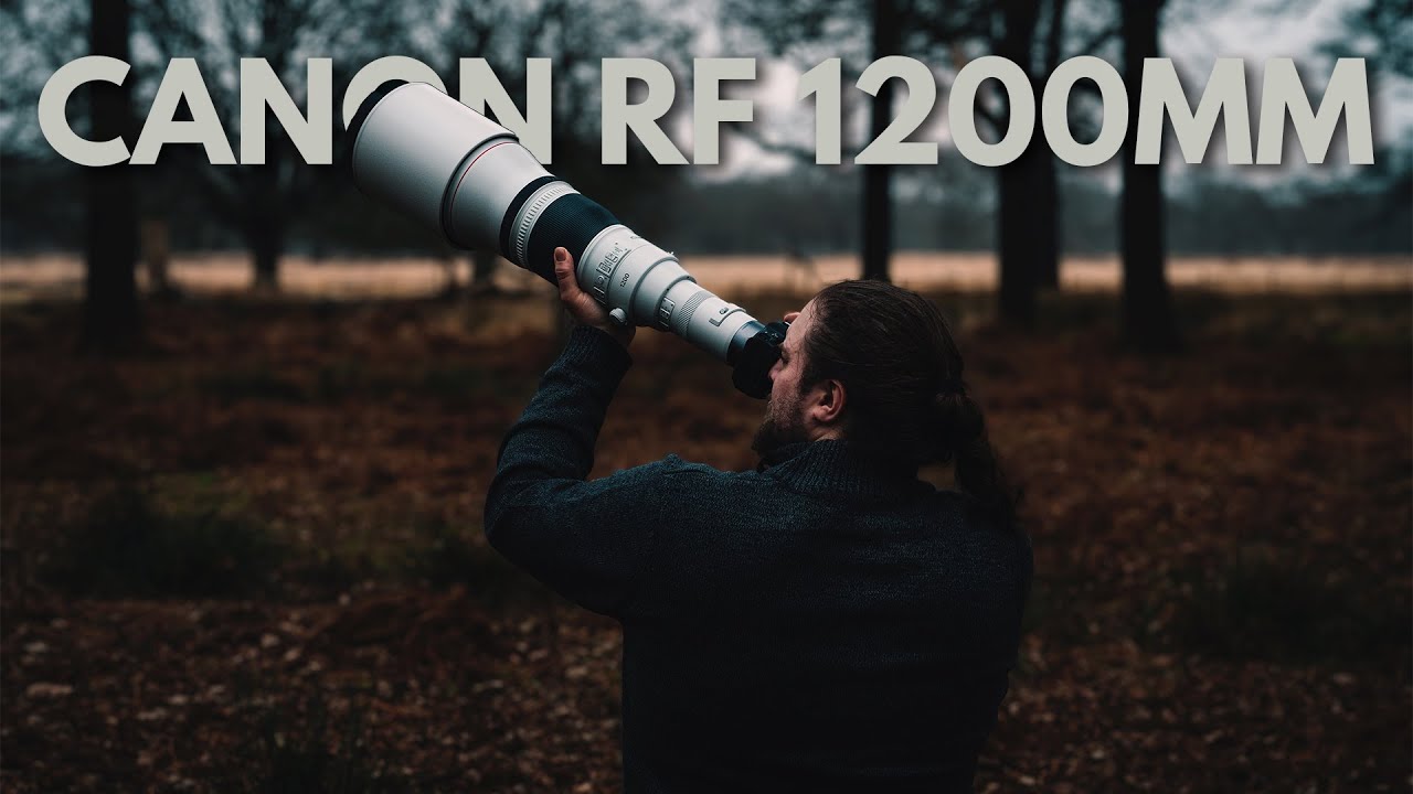 Video thumbnail for Video Review 2