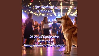 Tonight&#39;s The Night