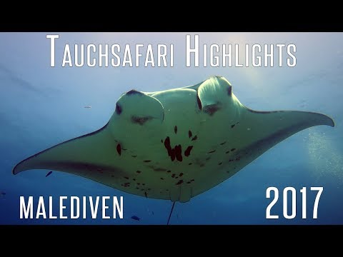 MV Eco Blue Tauchsafari Higlights  10/2017 | Malediven Musikvideo | Tauch-Vlog #24 | #abgetaucht