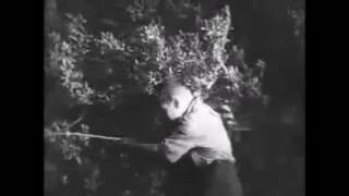 The Hollies - Look Through Any Window (1965)