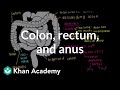 Colon, Rectum, And Anus | Gastrointestinal System Physiology | NCLEX-RN | Khan Academy