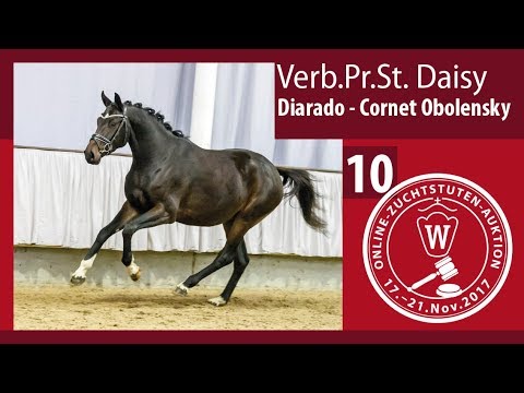 10 Verb.Pr.St. Daisy v. Diarado - Cornet Obolensky