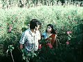 Enna Solla Edhu Solla Whatsapp Status Tamil Sivakarthikeyan Manamkothiparavai