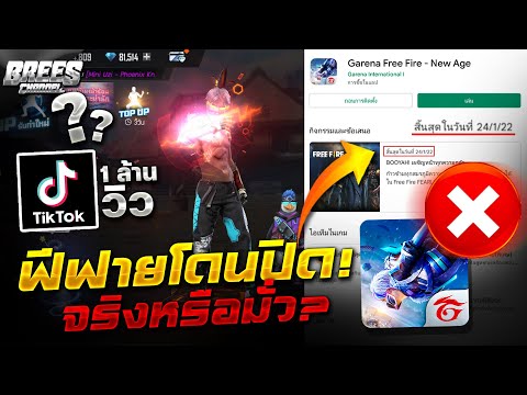 ชื่อฟีฟาย