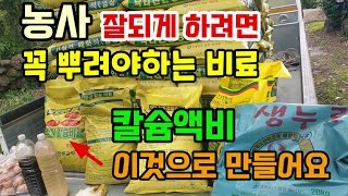 농사 잘되게 하려면 꼭 뿌려야하는 밑거름비료 2가지 장단점 칼슘액비 이것으로 만들어쓰면 좋고 저렴합니다 토양…