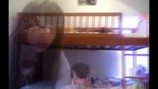 No Boundaries [[Kara DioGuardi]] (paula0094257's contest)