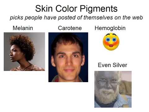 integumentary system