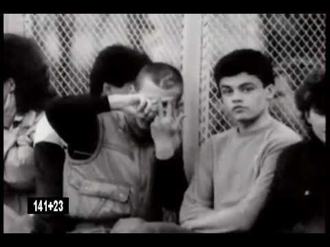 Lukaszine’s Video 51440111189 LztvM-Lj7KI