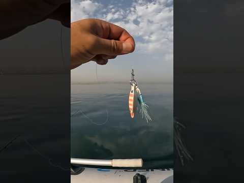 MICRO JIG 35 g Tungsten #fishing #pescaria #pescanomar #dubai #jigging #casting #solofishing