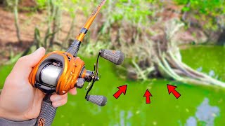 WE FOUND THE BIG BASS! (Hidden Creek Fishing)