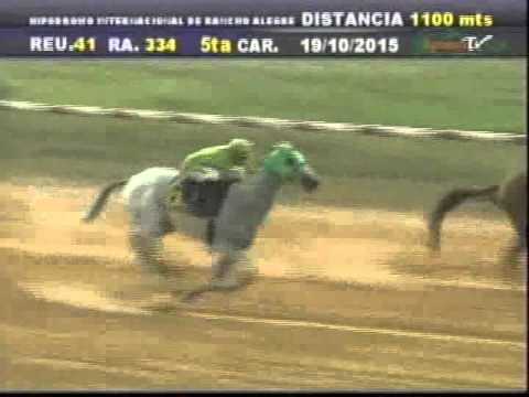 Resumen Lunes, 19 de Octubre de 2015 - Rancho Alegre