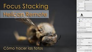 Helicon Remote: cómo hacer las fotos para un focus stacking