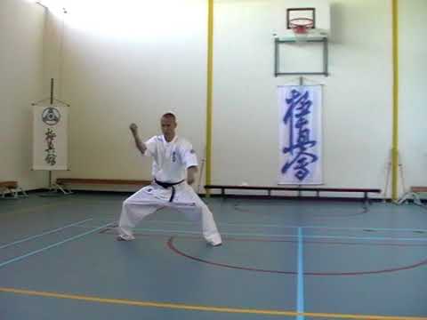 Image result for kyokushin karate kata