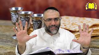 הרב ציון מושייב | פסח | מהי סיבת השיעבוד הקשה של עם ישראל במצרים - חלק ג', תשפה. (הרב ציון מושייב) - התמונה מוצגת ישירות מתוך אתר האינטרנט יוטיוב. זכויות היוצרים בתמונה שייכות ליוצרה. קישור קרדיט למקור התוכן נמצא בתוך דף הסרטון הרב ציון מושייב | פסח | מהי סיבת השיעבוד הקשה של עם ישראל במצרים - חלק ג', תשפה. (הרב ציון מושייב) - התמונה מוצגת ישירות מתוך אתר האינטרנט יוטיוב. זכויות היוצרים בתמונה שייכות ליוצרה. קישור קרדיט למקור התוכן נמצא בתוך דף הסרטון