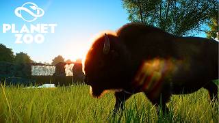Creating a HUGE American Bison Habitat in Planet Zoo