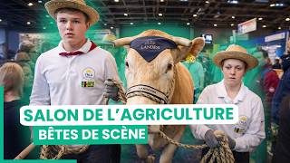 Thumbnail del capítulo