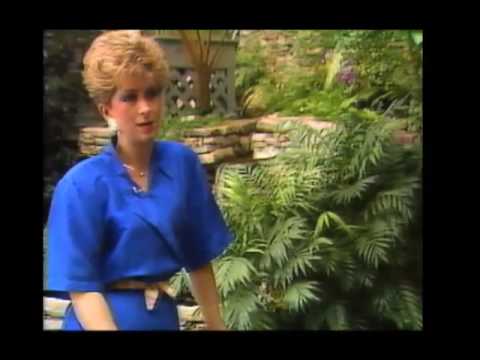 Total Freedom from harsh chemicals