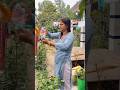 सुबह सुबह करना पड़ा बहुत सारा काम House Cleani