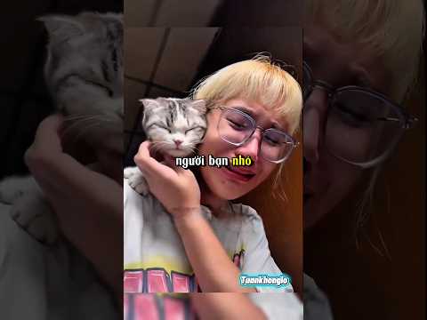 Cô gái làm điều điên rồ nhất để tìm mèo – và đó là lý do bạn sẽ khóc