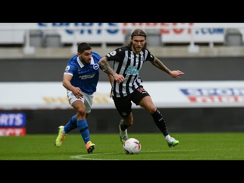 FC Newcastle United 0-3 FC Brighton & Hove Albion 