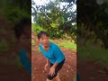 Comment disabled