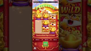Rio Fantasia — รางวัลใหญ่