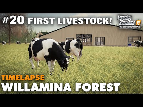 Willamina Forest Timelapse #20 Buying Our First Cows, Farming Simulator 19 Seasons