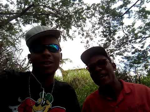 Nova dança do verão