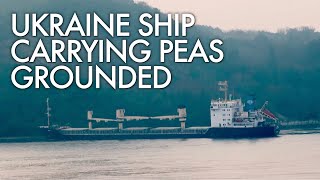 Cargo ship from Ukraine carrying 13,000 tons of peas grounded in Turkey's Bospho