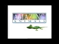 Henry S Amazing Animals Intro
