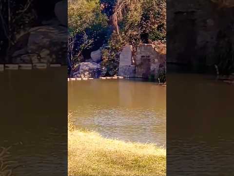 Balneario de Huerta Grande, Córdoba, Argentina.#huertagrande