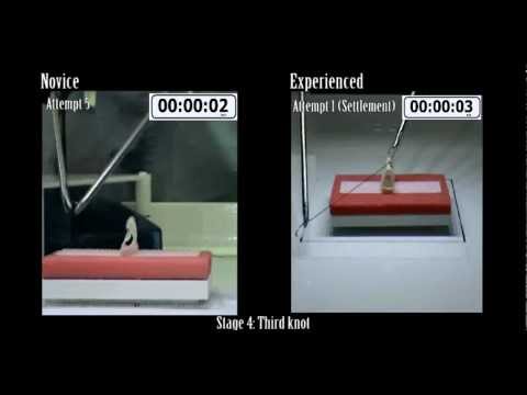 Task 3 Example Visualization